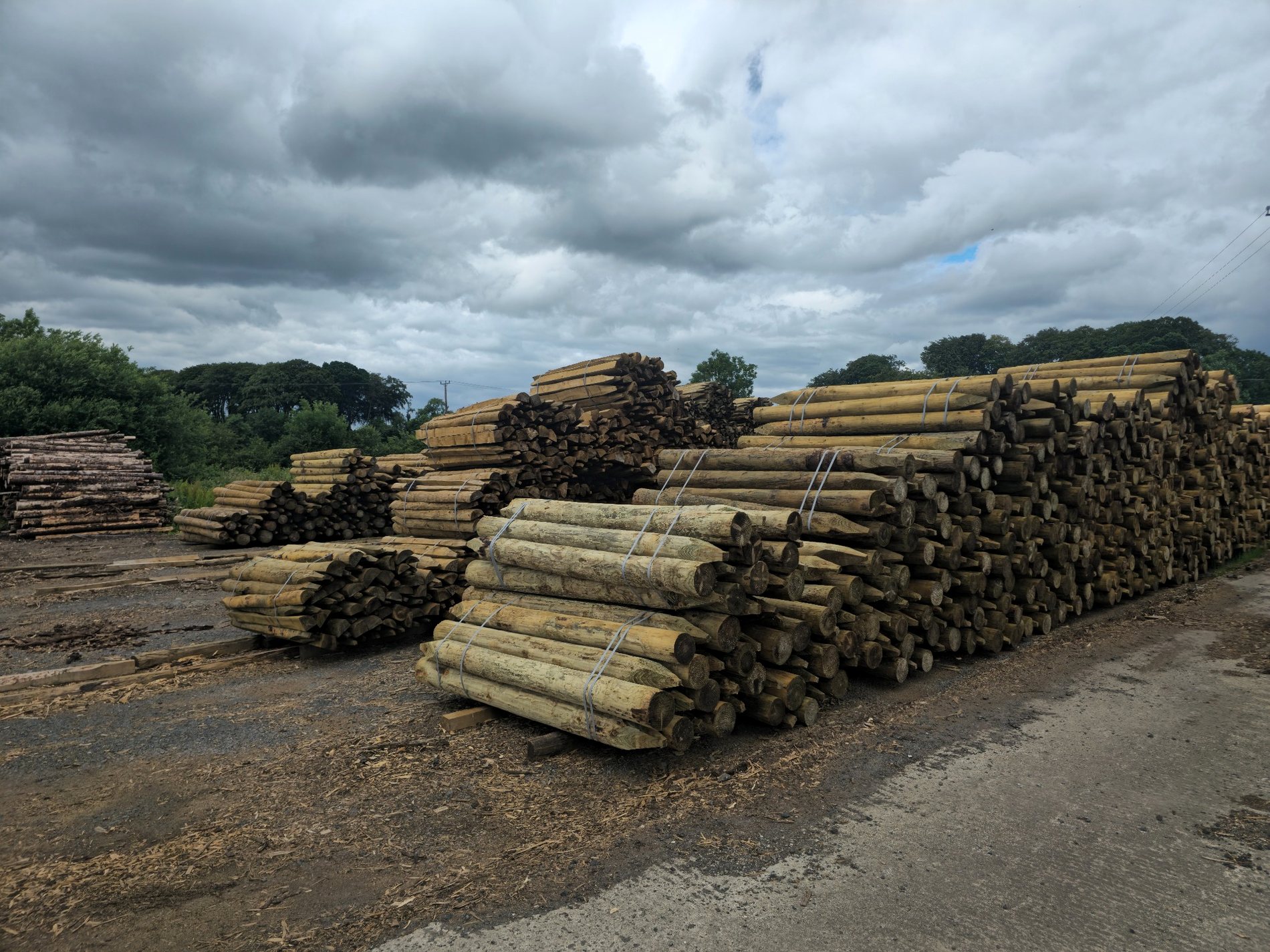 Treated round posts stacked